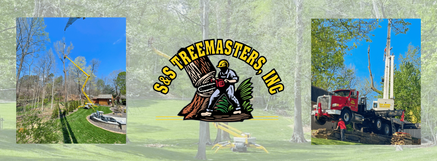 Yellow S&S white TreeMaster, Inc Residential & Commercial Tree Care Services Logo